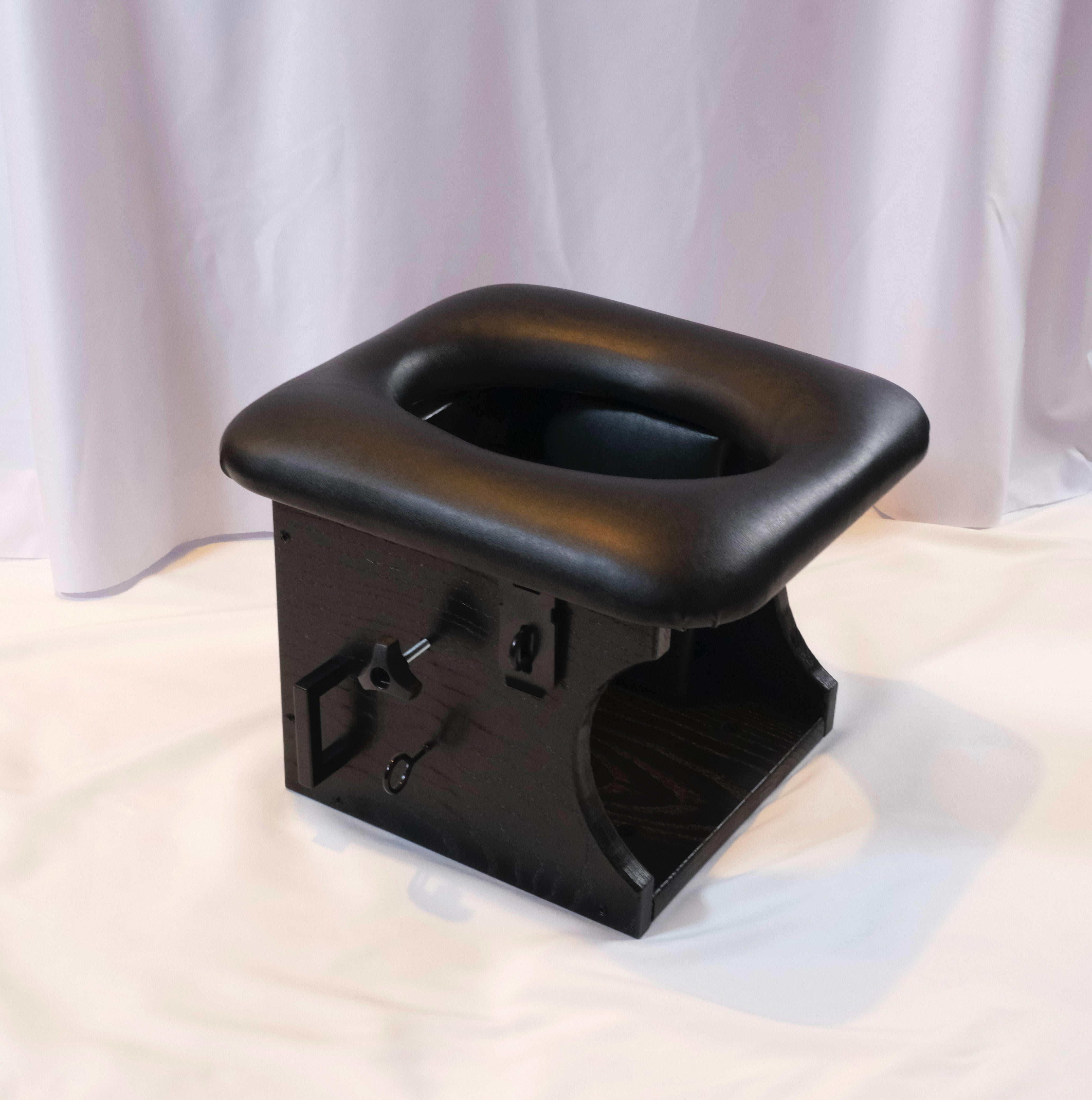 Custom Colour Queening Chair – The birds n the bees